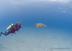 Mr H in action - photographing the turtle shown in his la... by Mark Thomas 